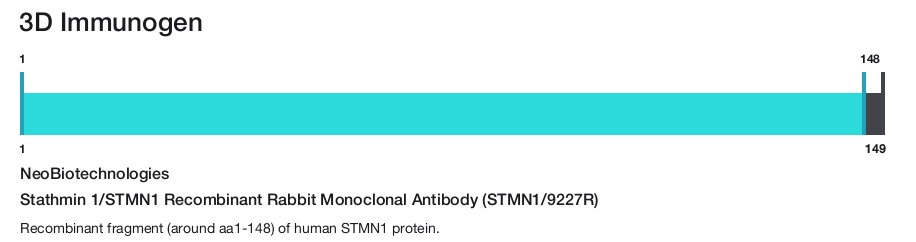 Stathmin 1/STMN1 Recombinant Rabbit Monoclonal Antibody (STMN1/9227R)