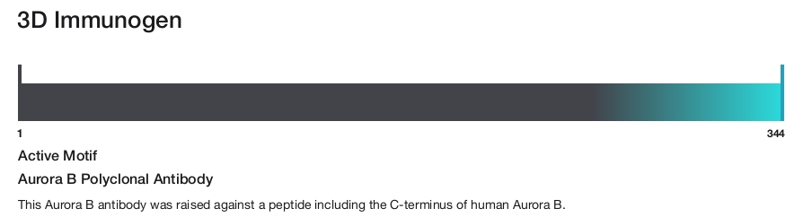 Aurora B Polyclonal Antibody