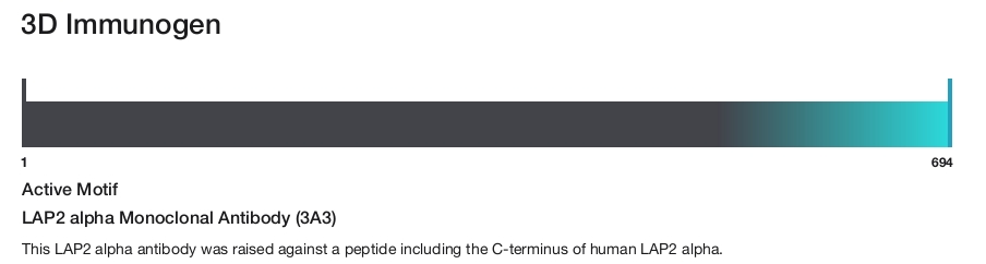 LAP2 alpha Monoclonal Antibody (3A3)
