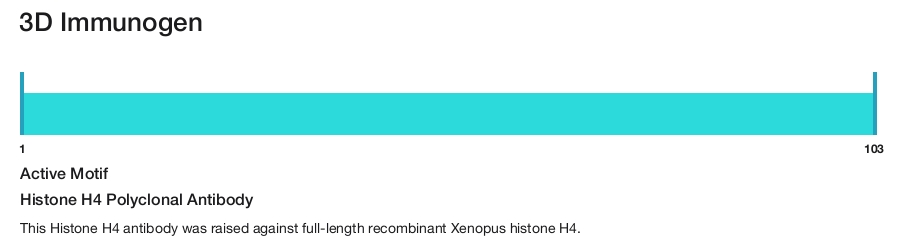 Histone H4 Polyclonal Antibody