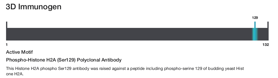 Phospho-Histone H2A (Ser129) Polyclonal Antibody