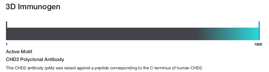 CHD2 Polyclonal Antibody