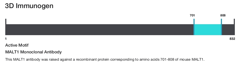 MALT1 Monoclonal Antibody