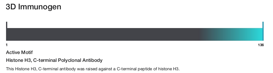 Histone H3, C-terminal Polyclonal Antibody
