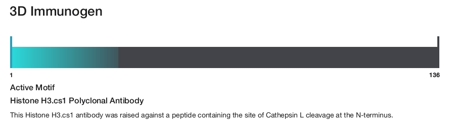 Histone H3.cs1 Polyclonal Antibody