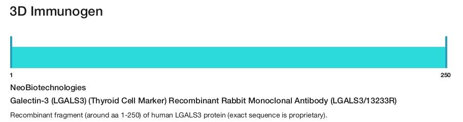 Galectin-3 (LGALS3) (Thyroid Cell Marker) Recombinant Rabbit Monoclonal Antibody (LGALS3/13233R)