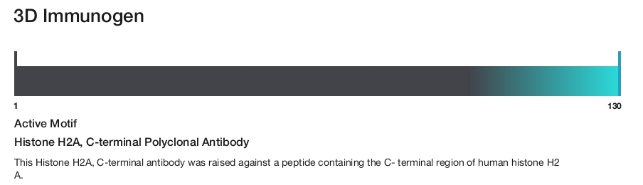 Histone H2A, C-terminal Polyclonal Antibody