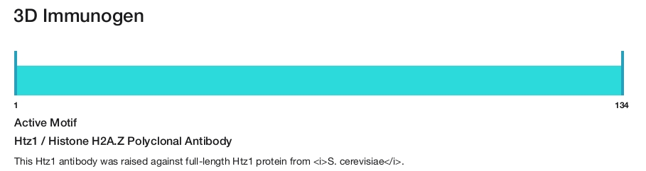 Htz1 / Histone H2A.Z Polyclonal Antibody