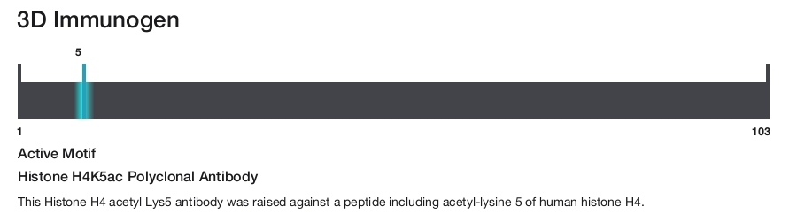 Histone H4K5ac Polyclonal Antibody