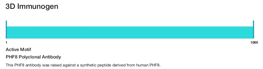PHF8 Polyclonal Antibody