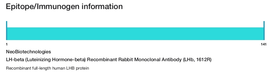 LH-beta (Luteinizing Hormone-beta) Recombinant Rabbit Monoclonal ...