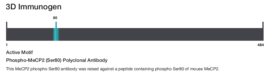 Phospho-MeCP2 (Ser80) Polyclonal Antibody