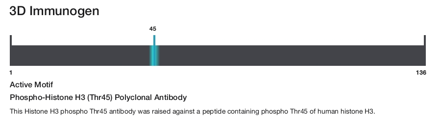 Phospho-Histone H3 (Thr45) Polyclonal Antibody