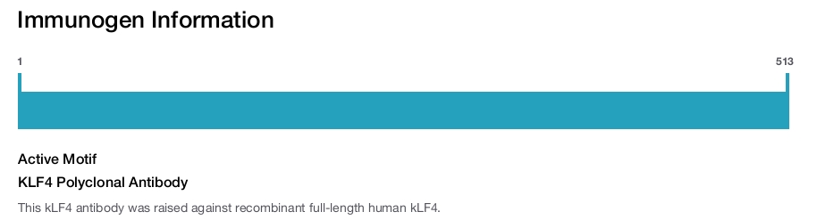 KLF4 Polyclonal Antibody