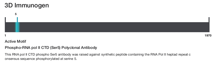 Phospho-RNA pol II CTD (Ser5) Polyclonal Antibody