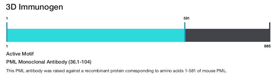 PML Monoclonal Antibody (36.1-104)