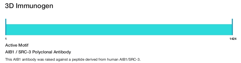 AIB1 / SRC-3 Polyclonal Antibody