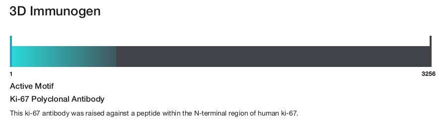 Ki-67 Polyclonal Antibody