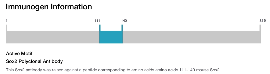 Sox2 Polyclonal Antibody