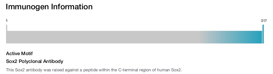 Sox2 Polyclonal Antibody