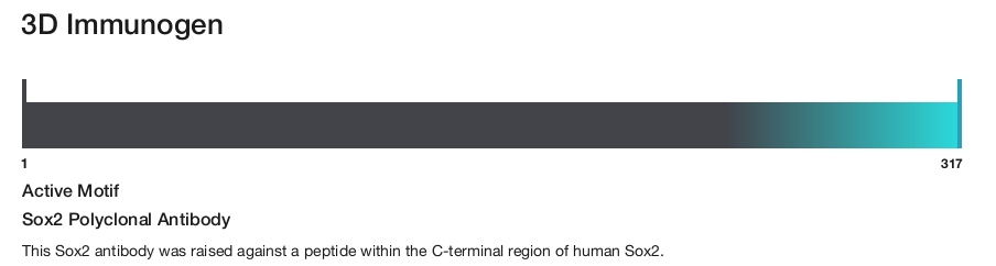 Sox2 Polyclonal Antibody