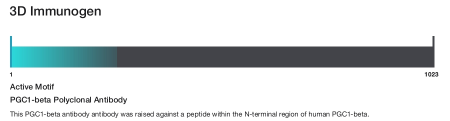 PGC1-beta Polyclonal Antibody