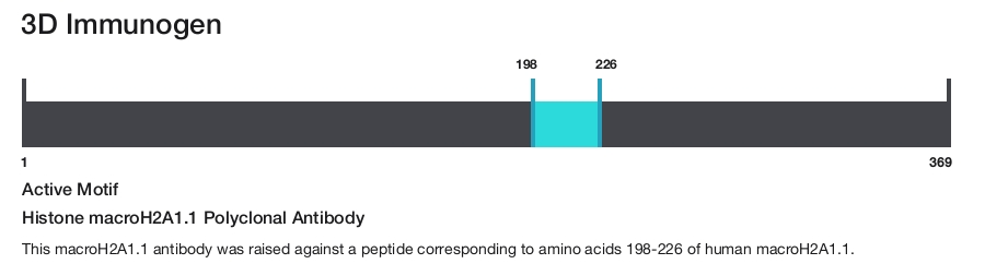 Histone macroH2A1.1 Polyclonal Antibody