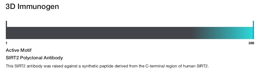 SIRT2 Polyclonal Antibody