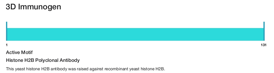 Histone H2B Polyclonal Antibody