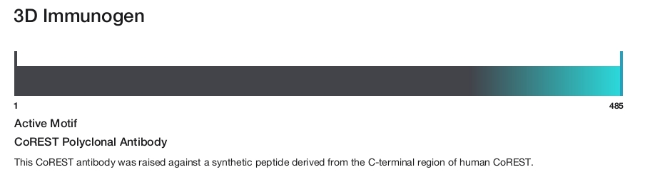 CoREST Polyclonal Antibody