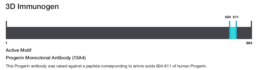 Progerin Monoclonal Antibody (13A4)