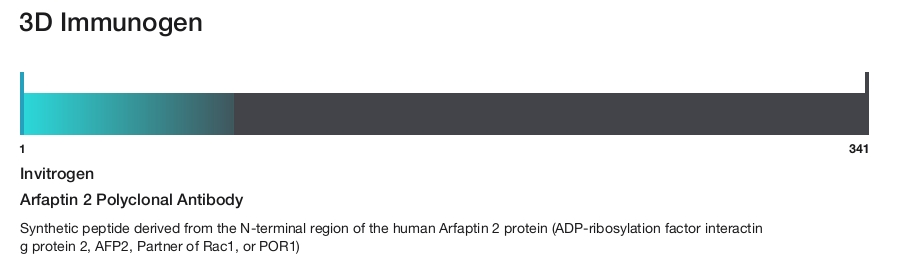 Arfaptin 2 Polyclonal Antibody