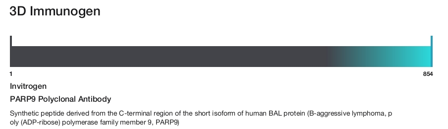 PARP9 Polyclonal Antibody