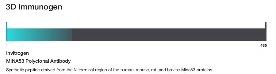 MINA53 Polyclonal Antibody