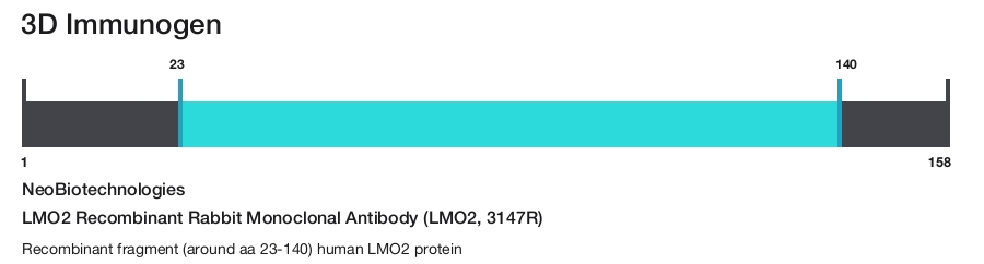 LMO2 Recombinant Rabbit Monoclonal Antibody (LMO2, 3147R)