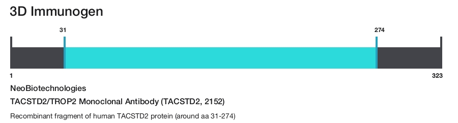 TACSTD2/TROP2 Monoclonal Antibody (TACSTD2, 2152)