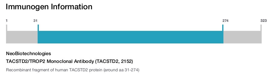 TACSTD2/TROP2 Monoclonal Antibody (TACSTD2, 2152)