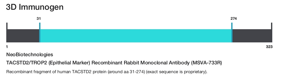 TACSTD2/TROP2 (Epithelial Marker) Recombinant Rabbit Monoclonal Antibody (MSVA-733R)