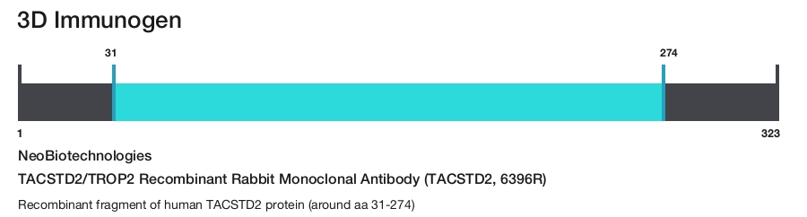 TACSTD2/TROP2 Recombinant Rabbit Monoclonal Antibody (TACSTD2, 6396R)