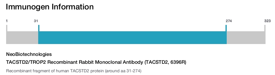 TACSTD2/TROP2 Recombinant Rabbit Monoclonal Antibody (TACSTD2, 6396R)