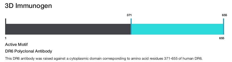 DR6 Polyclonal Antibody