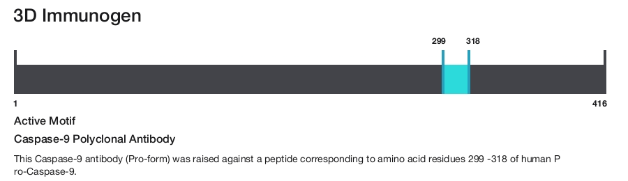 Caspase-9 Polyclonal Antibody