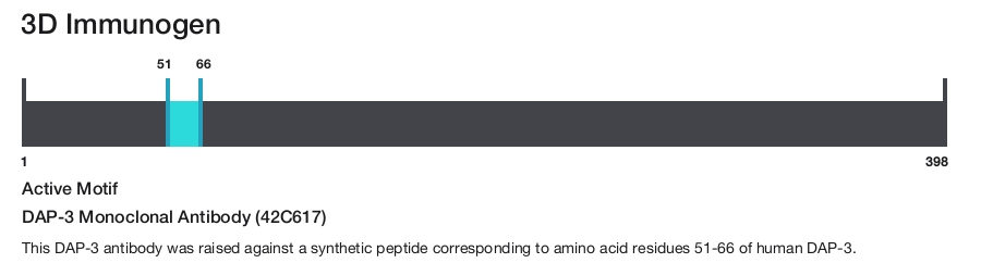 DAP-3 Monoclonal Antibody (42C617)