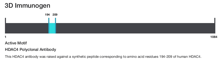 HDAC4 Polyclonal Antibody