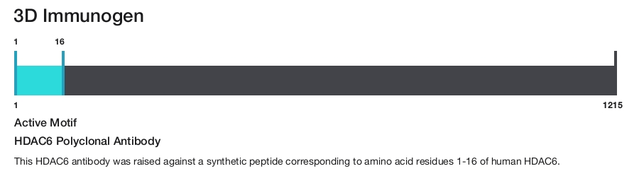 HDAC6 Polyclonal Antibody