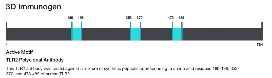 TLR2 Polyclonal Antibody