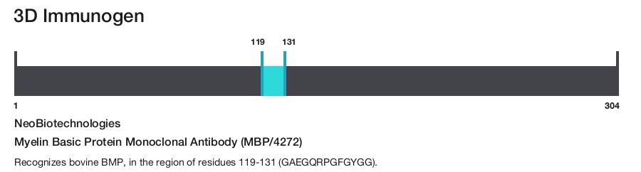 Myelin Basic Protein Monoclonal Antibody (MBP/4272)
