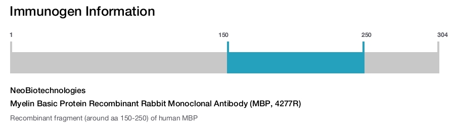 Myelin Basic Protein Recombinant Rabbit Monoclonal Antibody (MBP, 4277R)