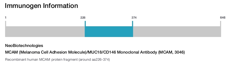 MCAM (Melanoma Cell Adhesion Molecule)/MUC18/CD146 Monoclonal Antibody (MCAM, 3046)