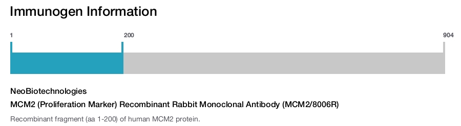 MCM2 (Proliferation Marker) Recombinant Rabbit Monoclonal Antibody (MCM2/8006R)